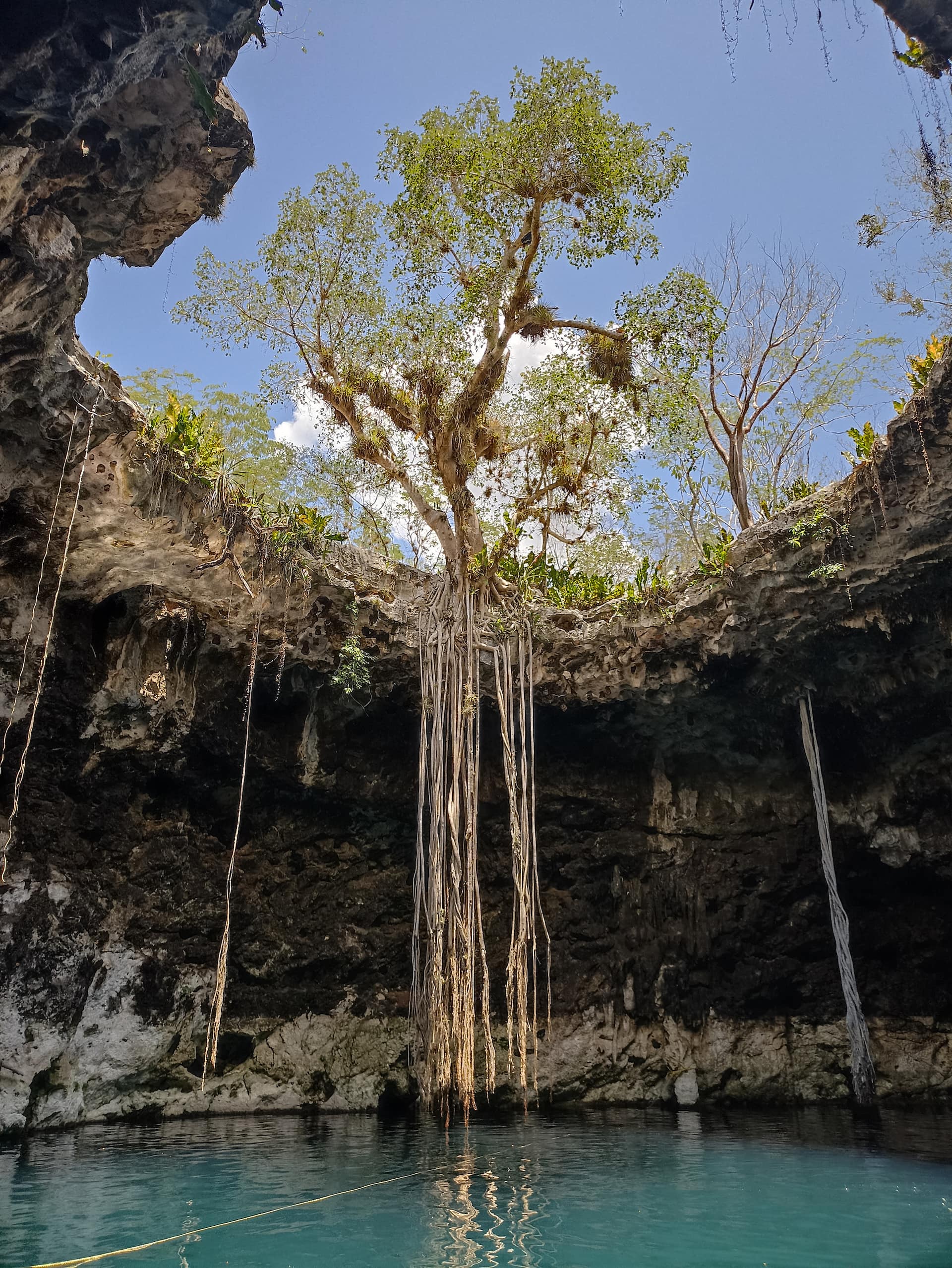 Cenote Xoch at the Merida Cenotes in Homun Yucatan