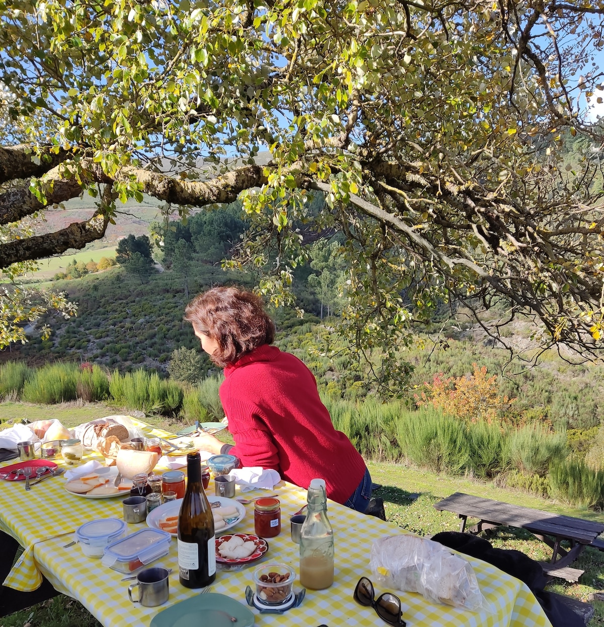Taste Serra da Estrela cheese