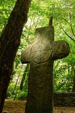 森林魔法、女巫、仙子和觅食
