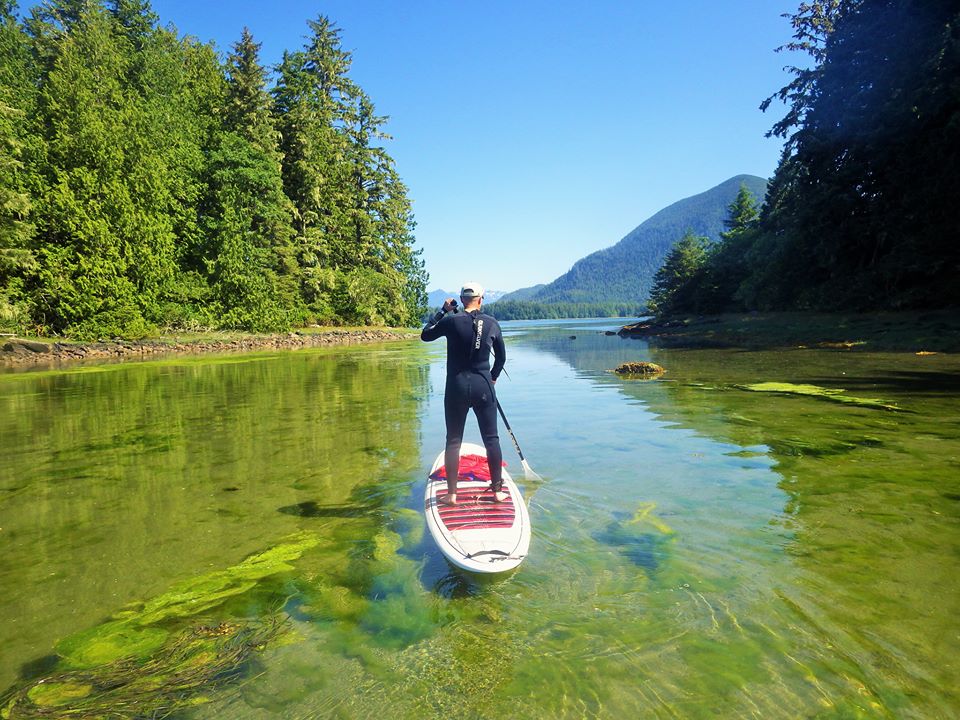 Paddle on Tofino inlet, by the coastal rainforest