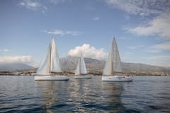 Encounter dolphins while sailing the high seas
