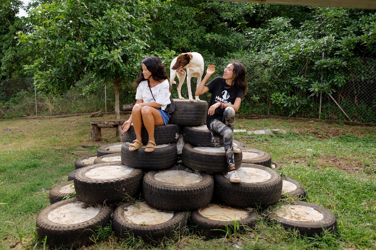 Visit Happy Tails Dog Sanctuary