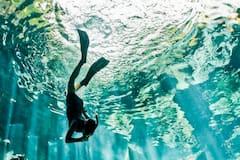 Magic Cenotes