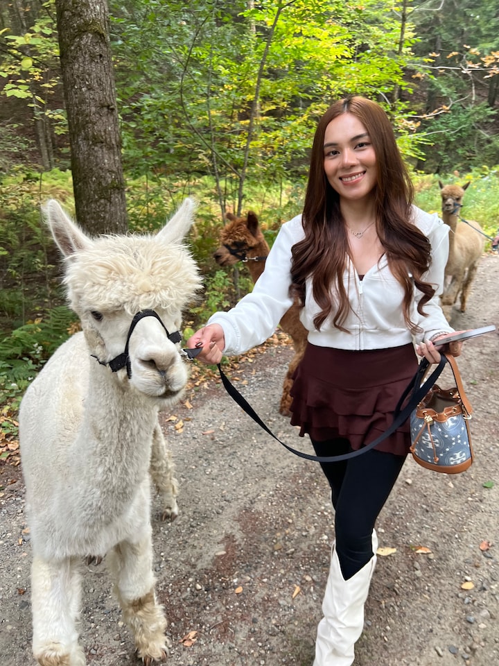 Alpaca Walk Experience - Unique Vermont Adventure · ☆4.96