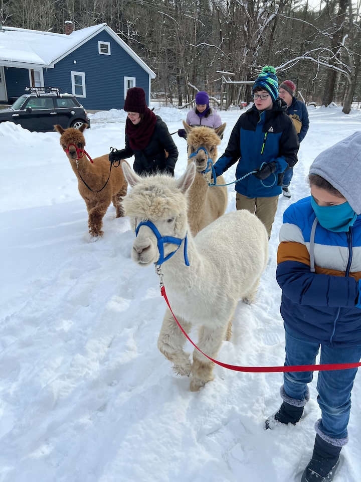 Alpaca Walk Experience - Unique Vermont Adventure · ☆4.96