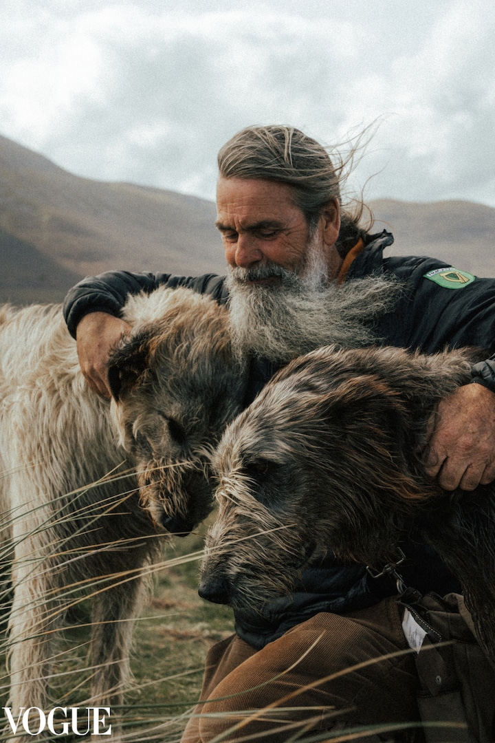 Walk with Wolfhounds in Ireland with caretaker · ☆4.98