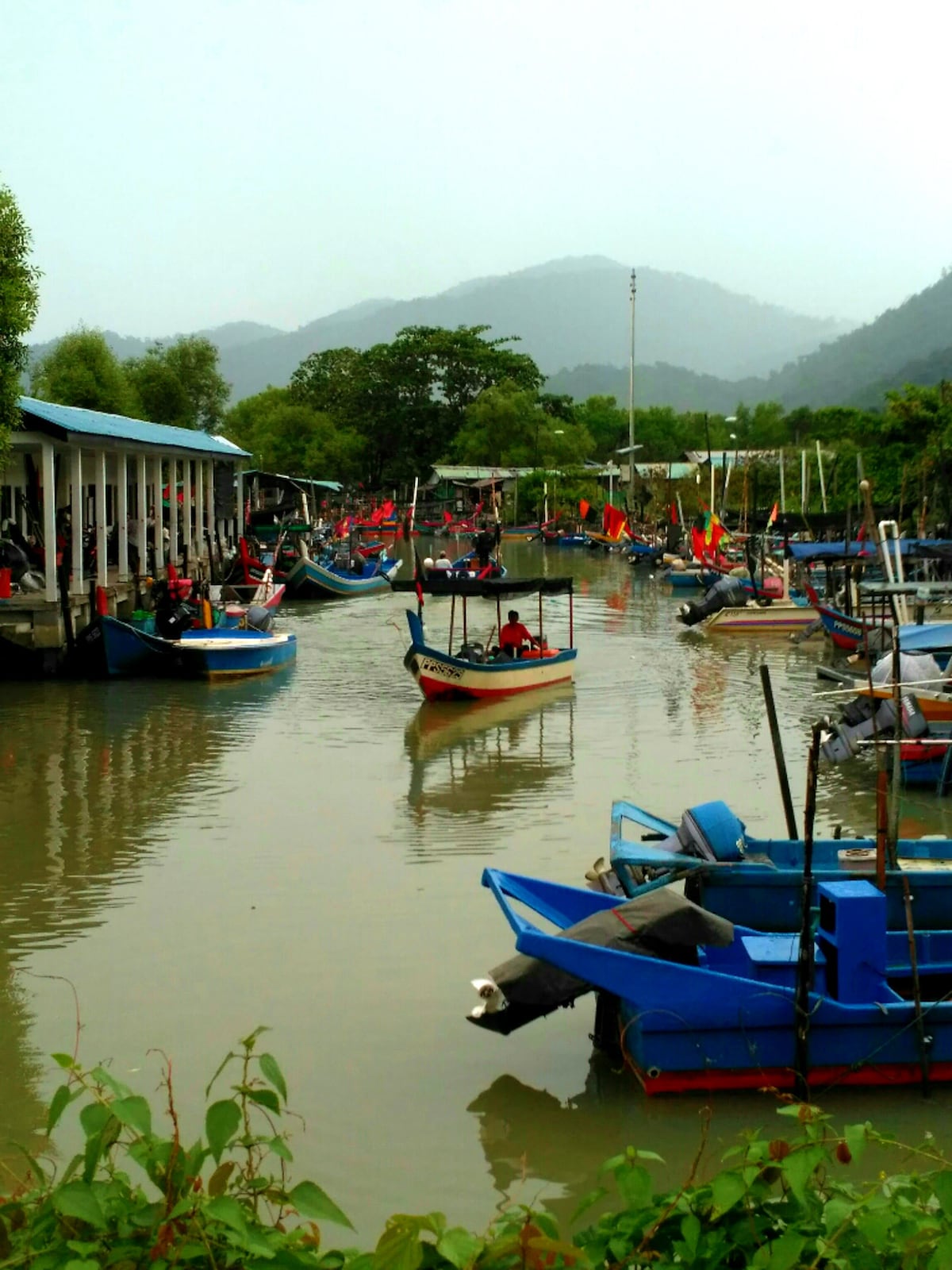 Biking through Malay countryside