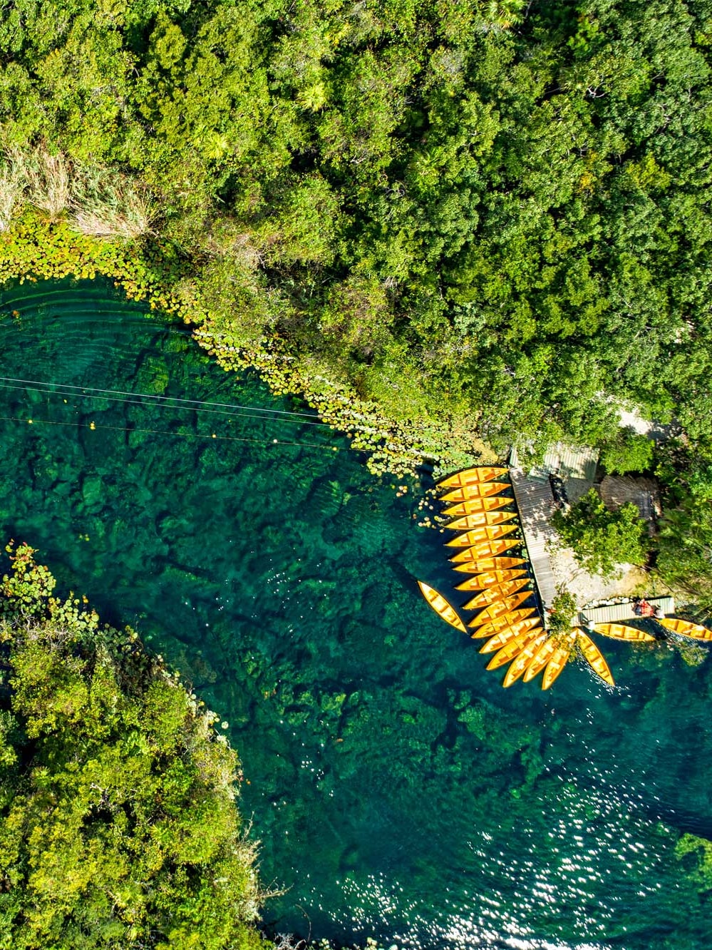 Unveil Sacred Mayan Cenotes
