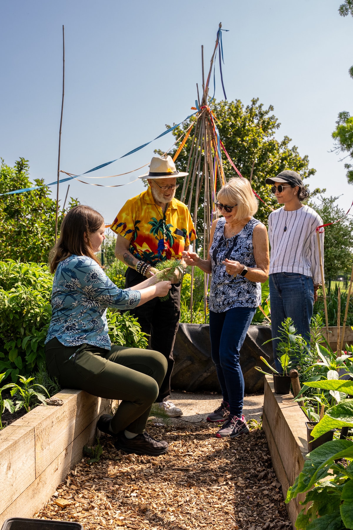 Explore wild food on a coastal foraging walk