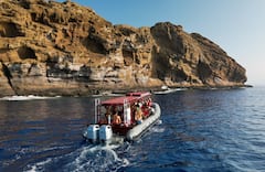 סיור 2 ב-1: שנורקל במכתש מולוקיני וצפייה בלווייתנים