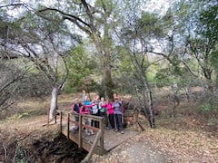 Descubre senderos ocultos en Los Altos Hills