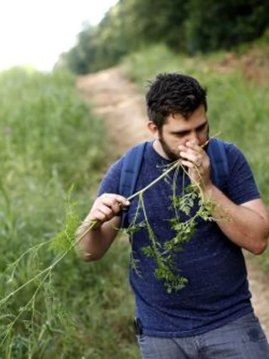 Forage wild plants on a 5k hike