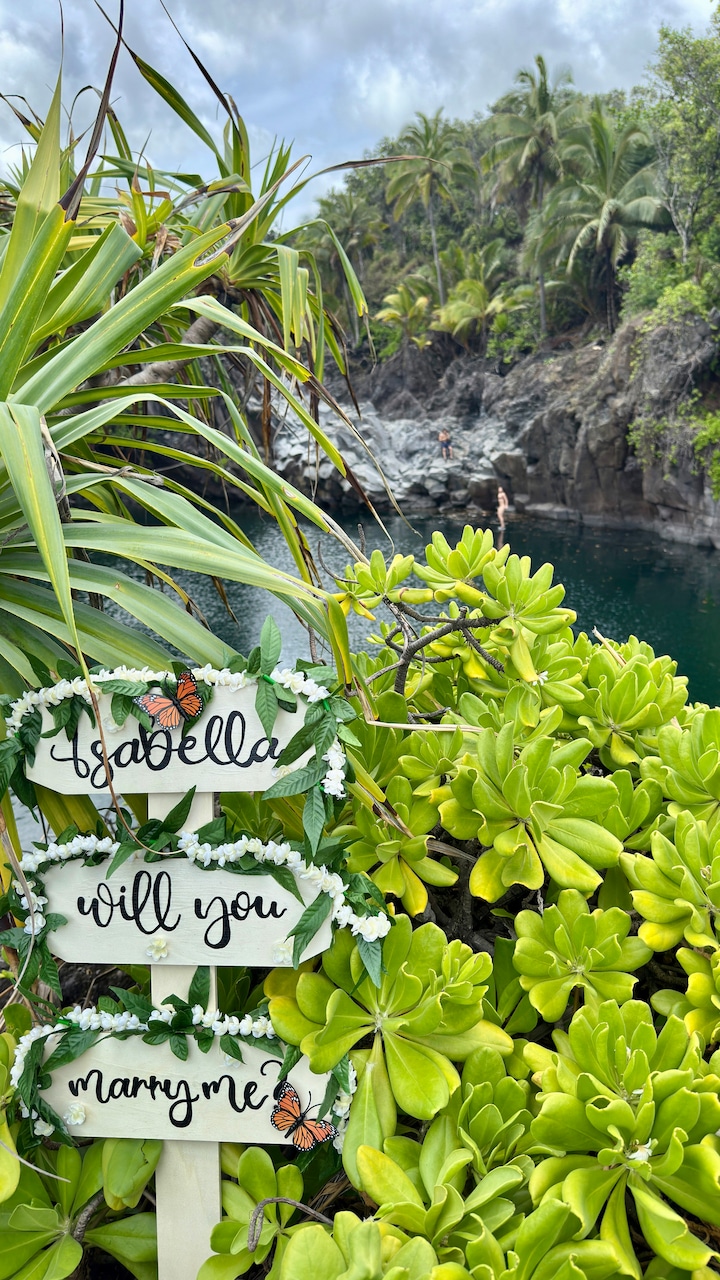 Road To Hana Captured In Photography & Video · ☆5.0