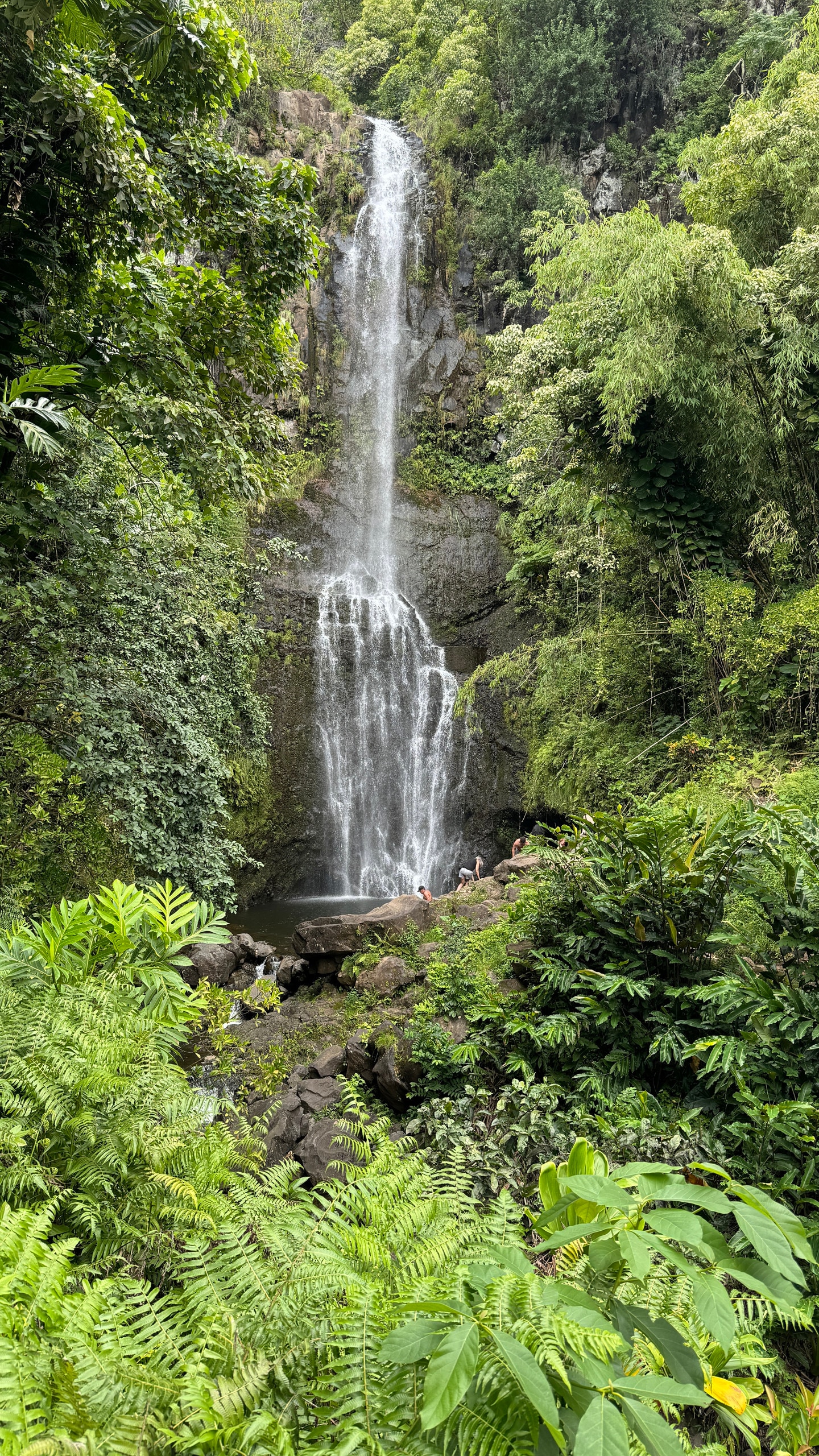 Road To Hana Captured In Photography & Video · ☆5.0