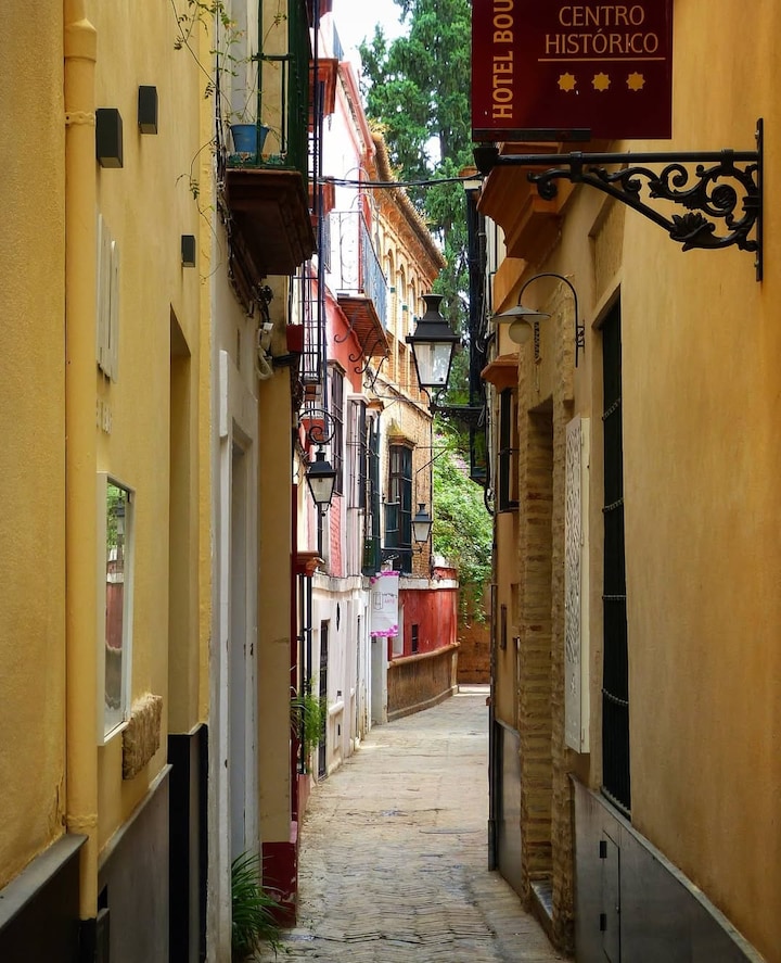 Small Group Walking Tour of Seville · ☆4.98