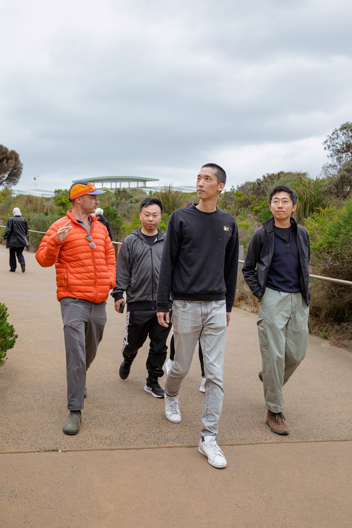 Explore 12 Apostles, Otways and rainforests