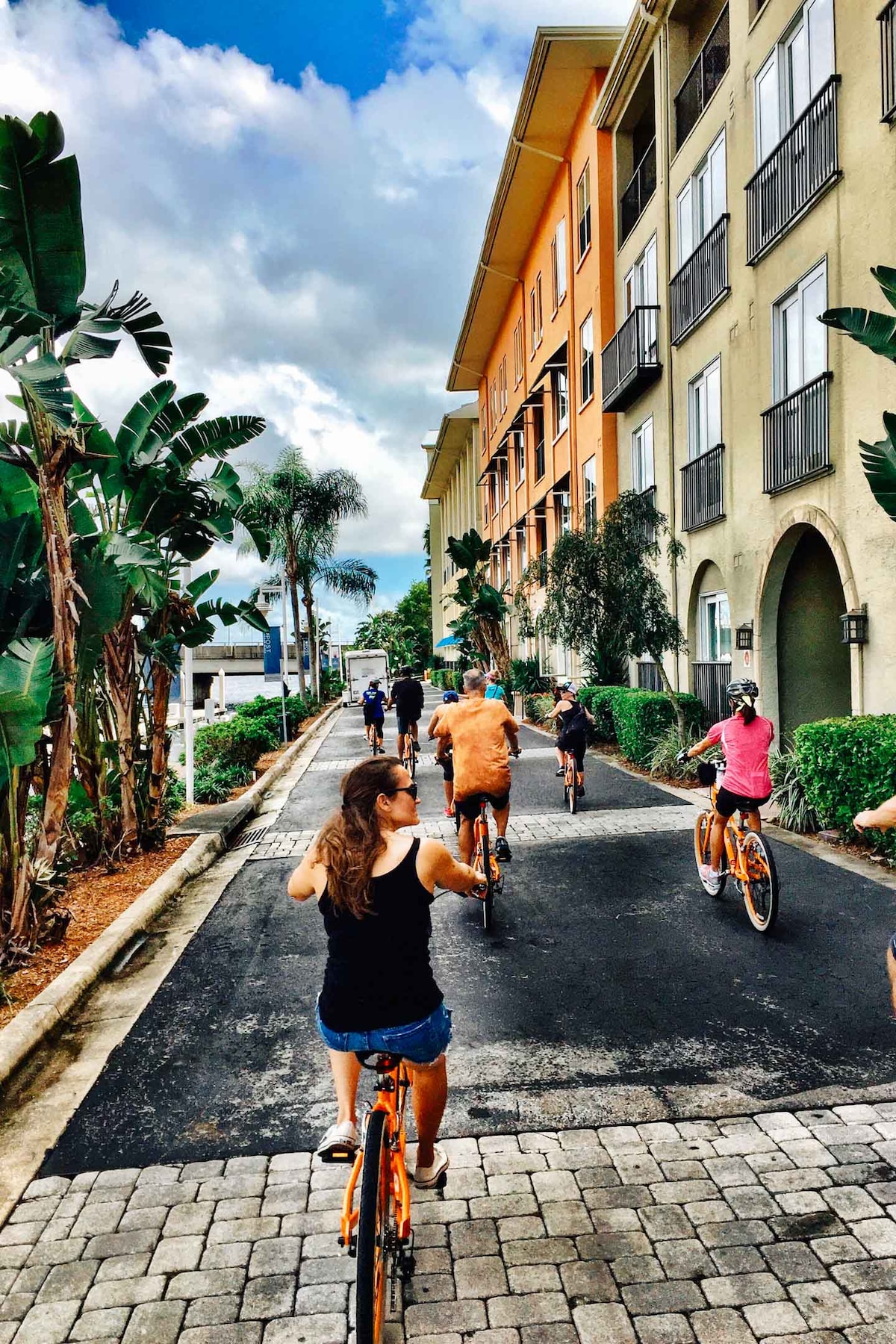 Discover Tampa By Bike