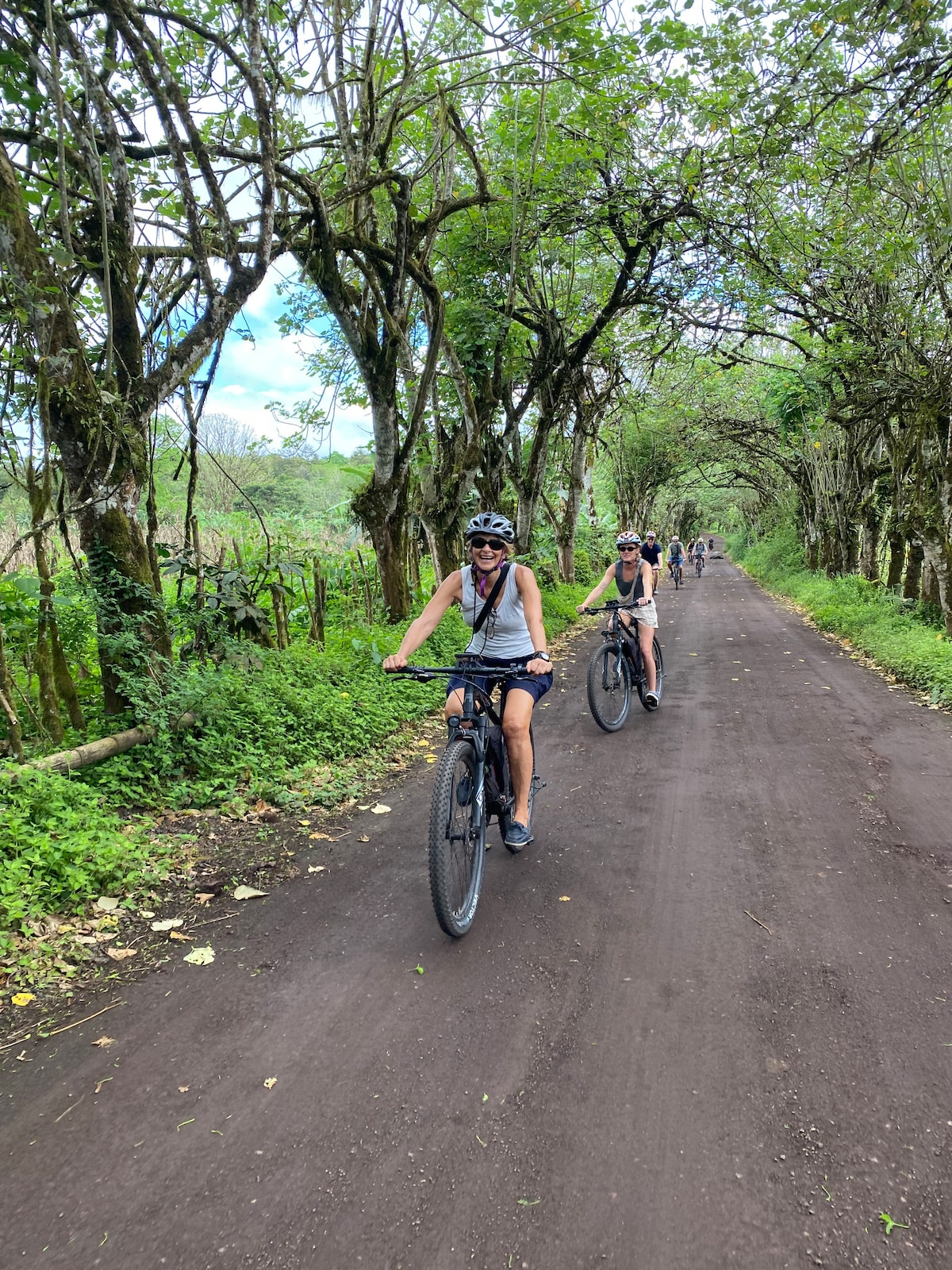 E-bike tour to see turtles