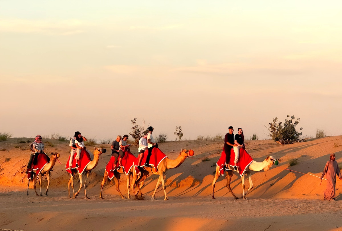 High Red Dunes Safari Camel Ride & Live shows Camp