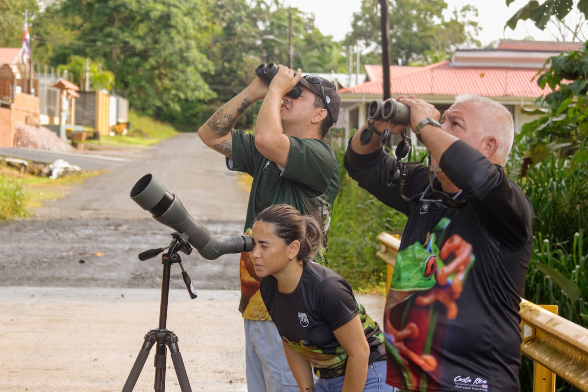 Sloth Watching with Papa’s Place