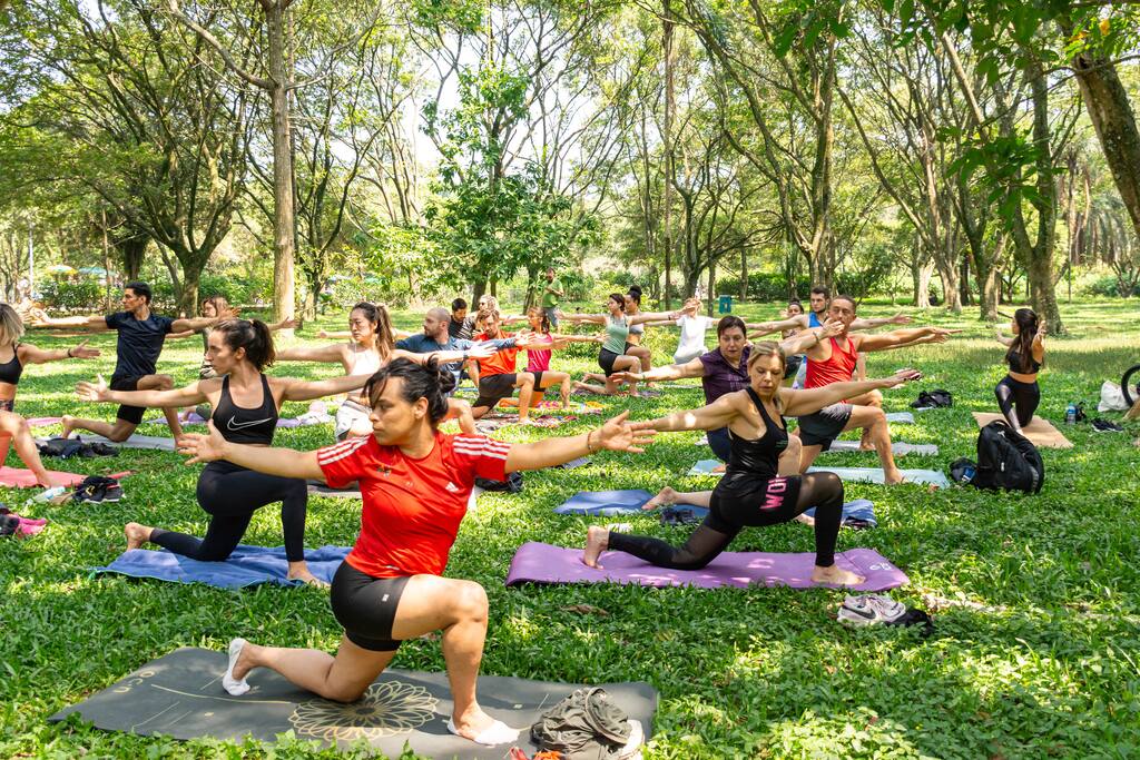 Yoga in Ibirapuera Park