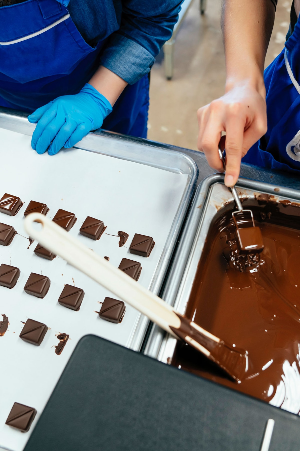 Explore chocolate factory with local chocolatier