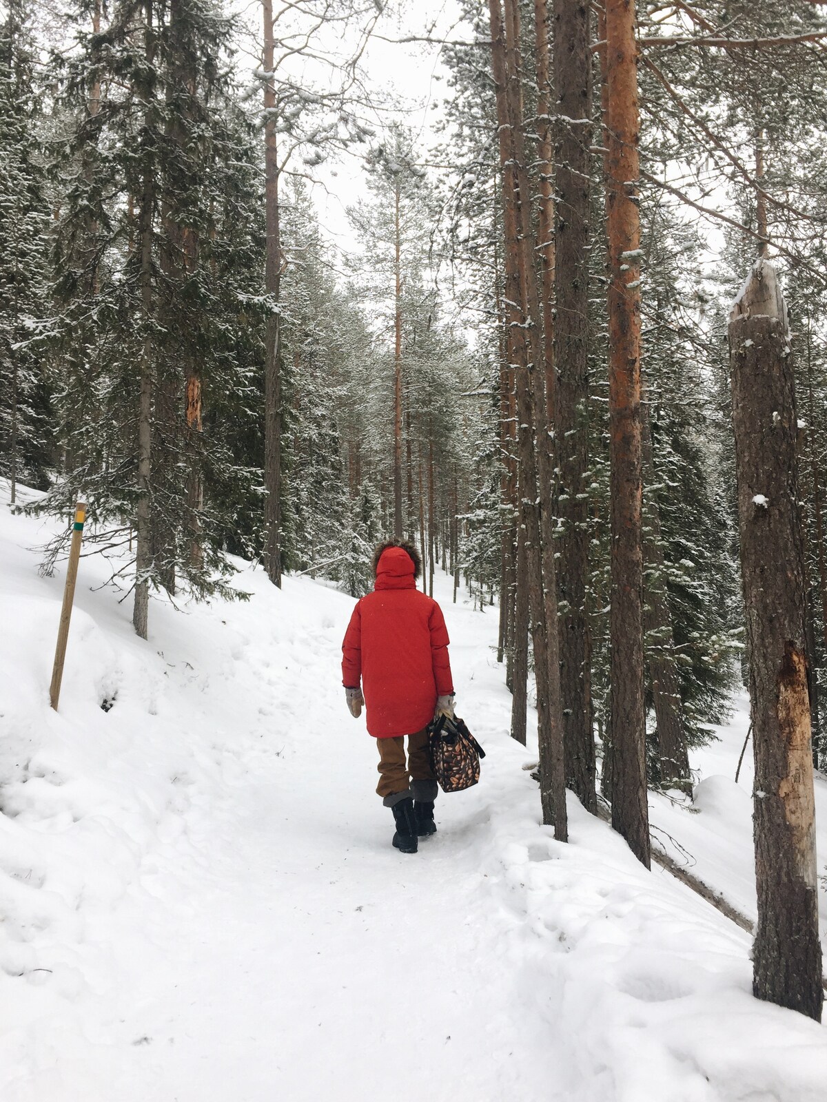 Hike Korouoma Canyon & Frozen Waterfalls