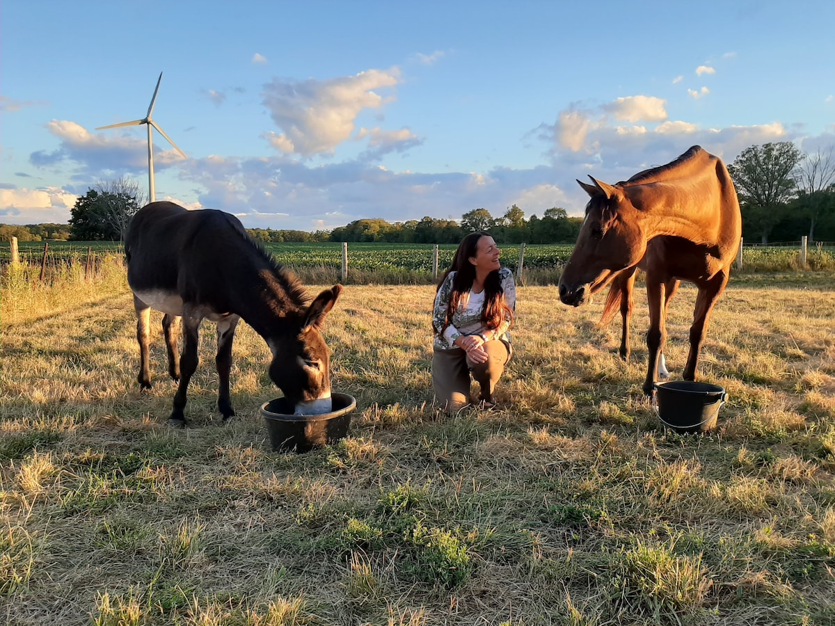 Cycle rural routes and craft Espresso