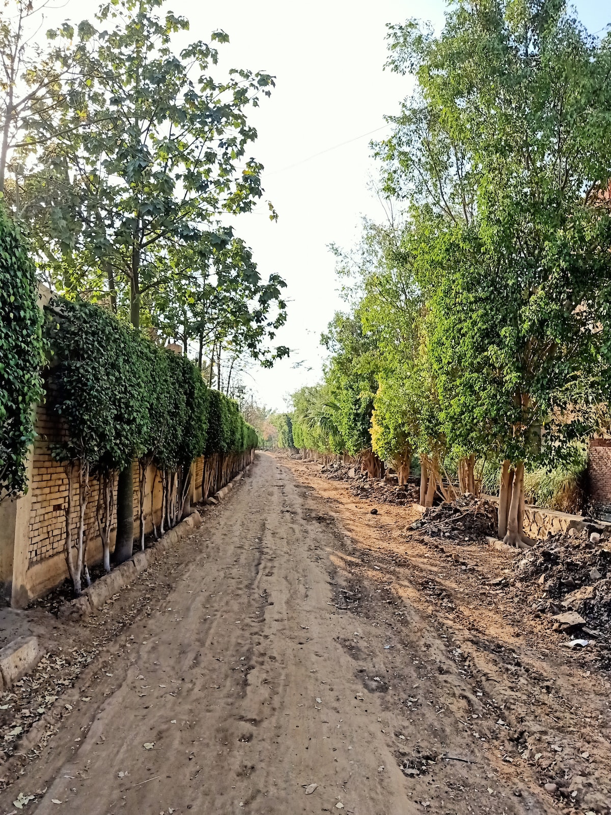 Enjoy the egyptian countryside