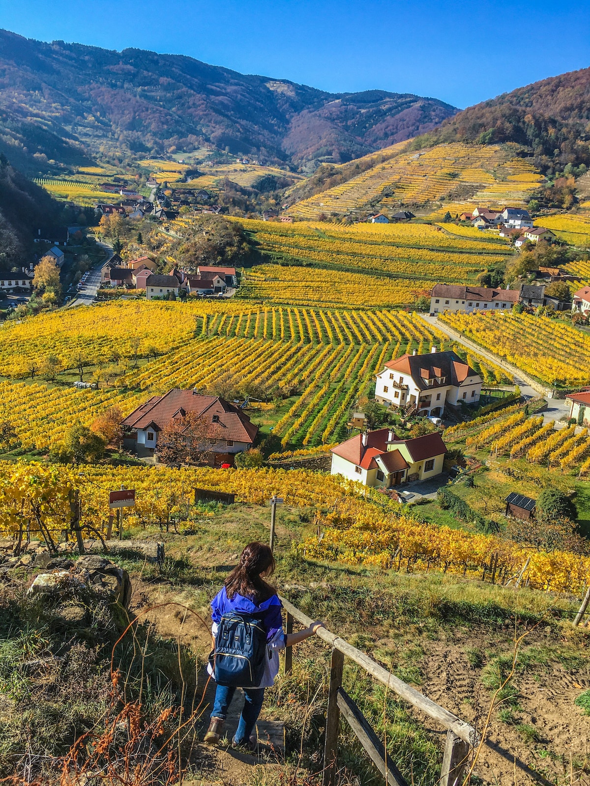 Weltkulturerbe-Wanderung in Wachau