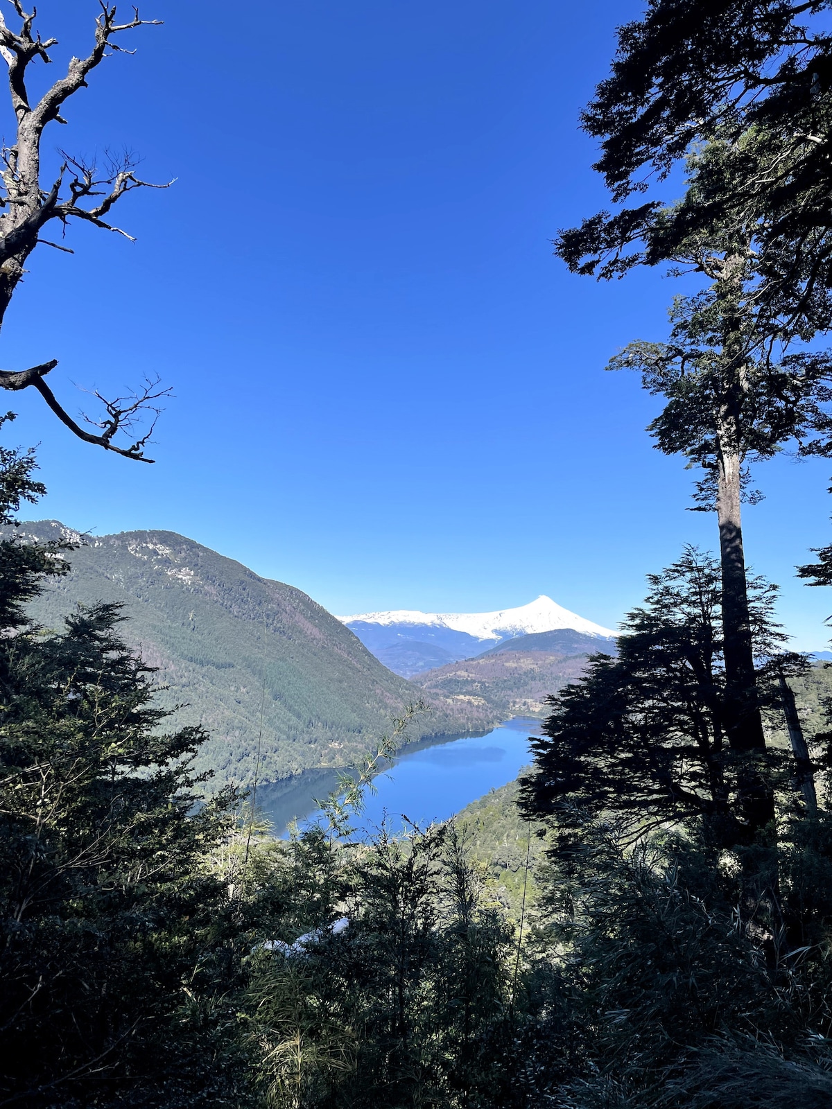 Walk through the lakes in Huerquehue
