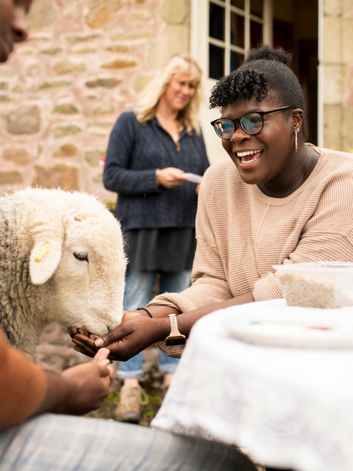 Tea with Naughty Sheep