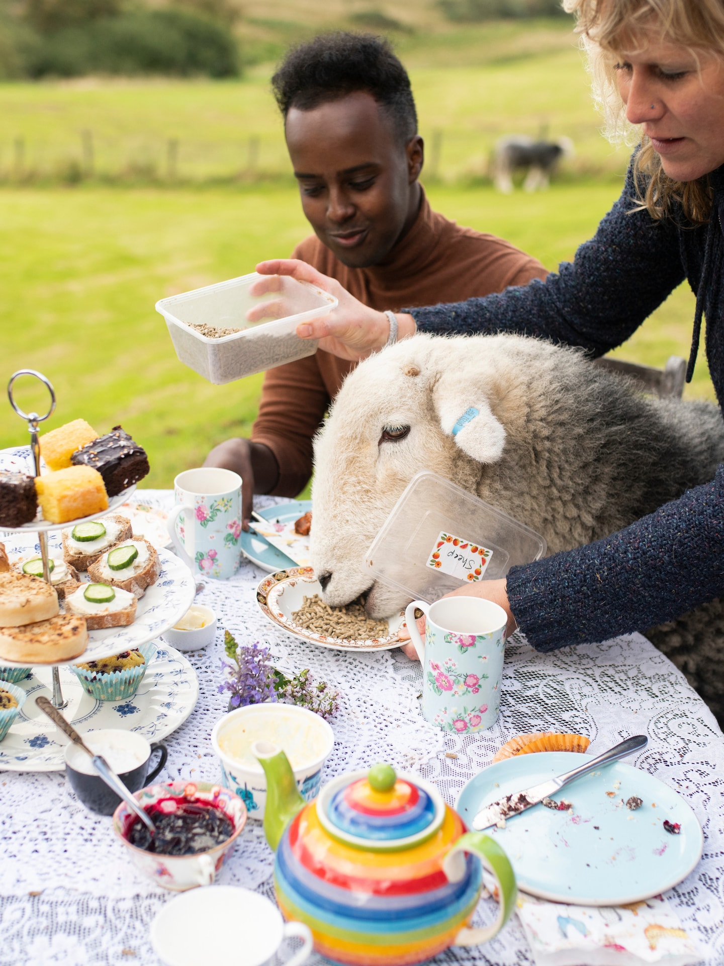 Tea with Naughty Sheep · ☆5.0