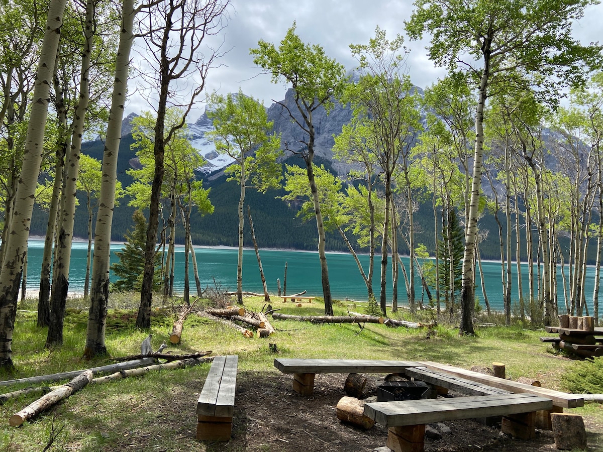 Banff Nature Walk - 2hrs