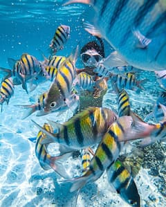 5 Islands of Los Arcos Reserve by Boat & Snorkel