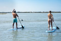 Paddleboard con delfines en el río Folly