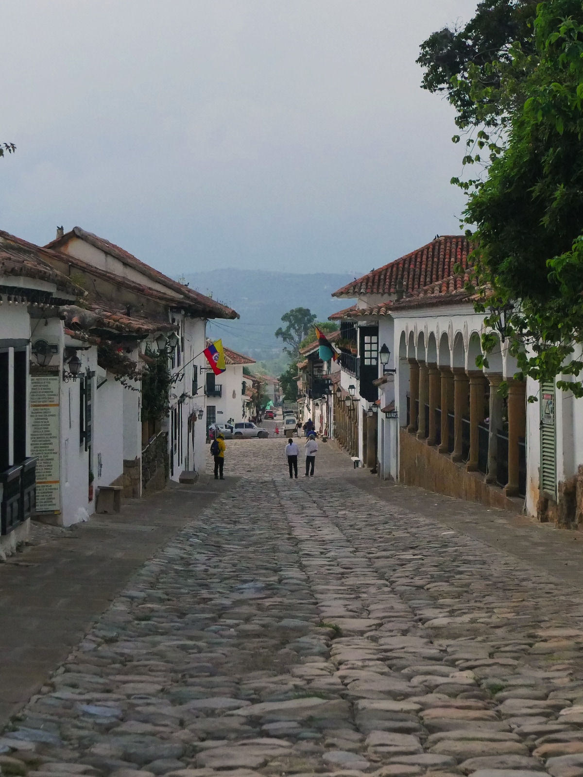 Tour the historic center with a villaleyvana