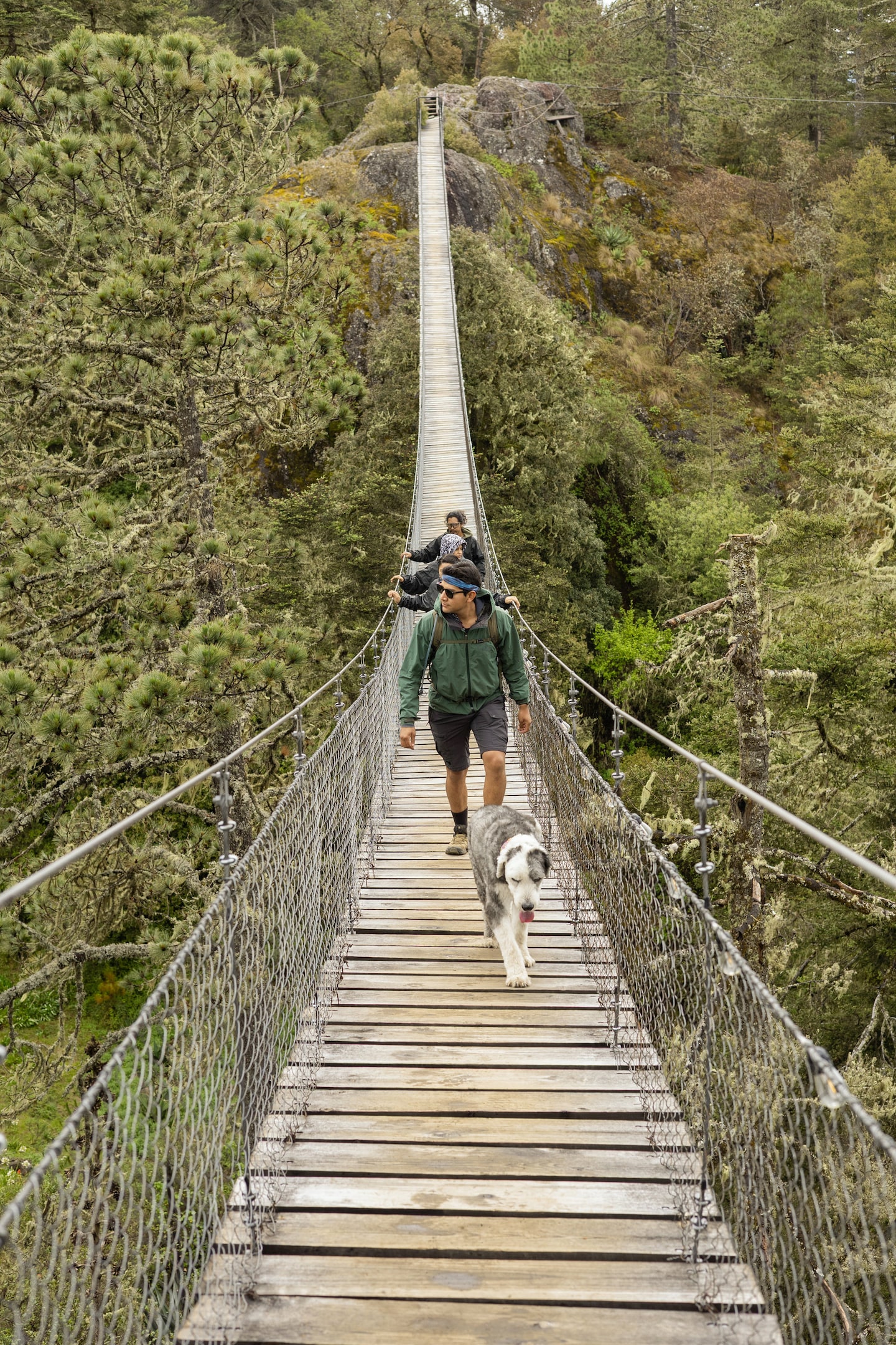 Hiking in the Sierra Norte Forest · ☆4.98
