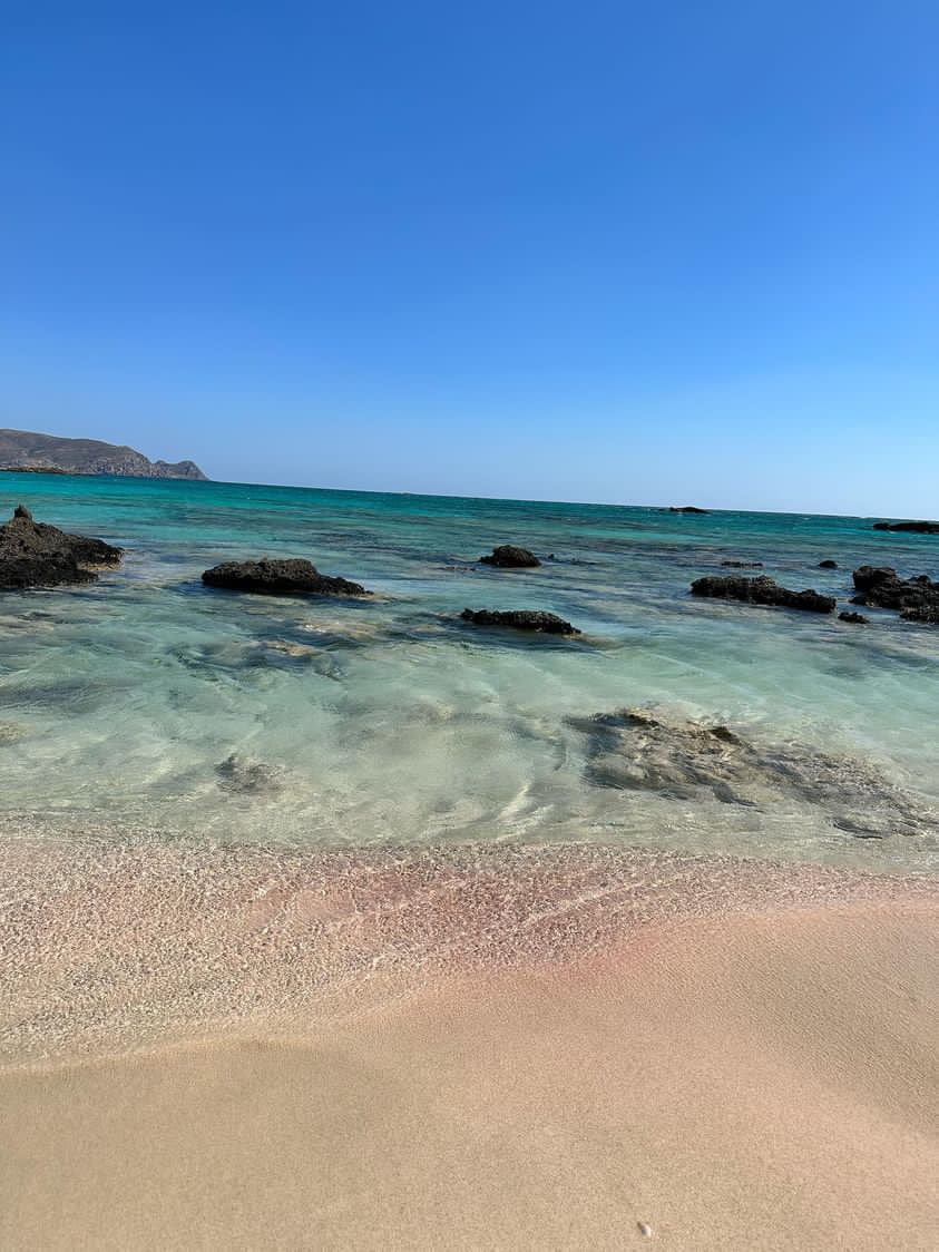 All day tour to Elafonisi and Kedrodasos