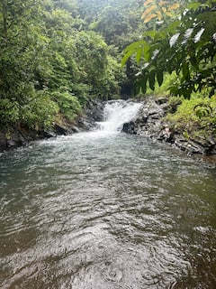 隐秘森林泡水徒步之旅