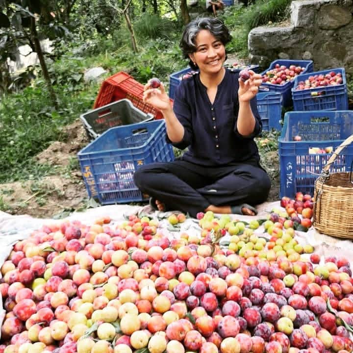 Baue Gemüse und Obst in einem kleinen Obstgarten an