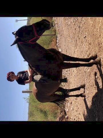 Cabalgata y mate gaucho en el pedemonte mendocino