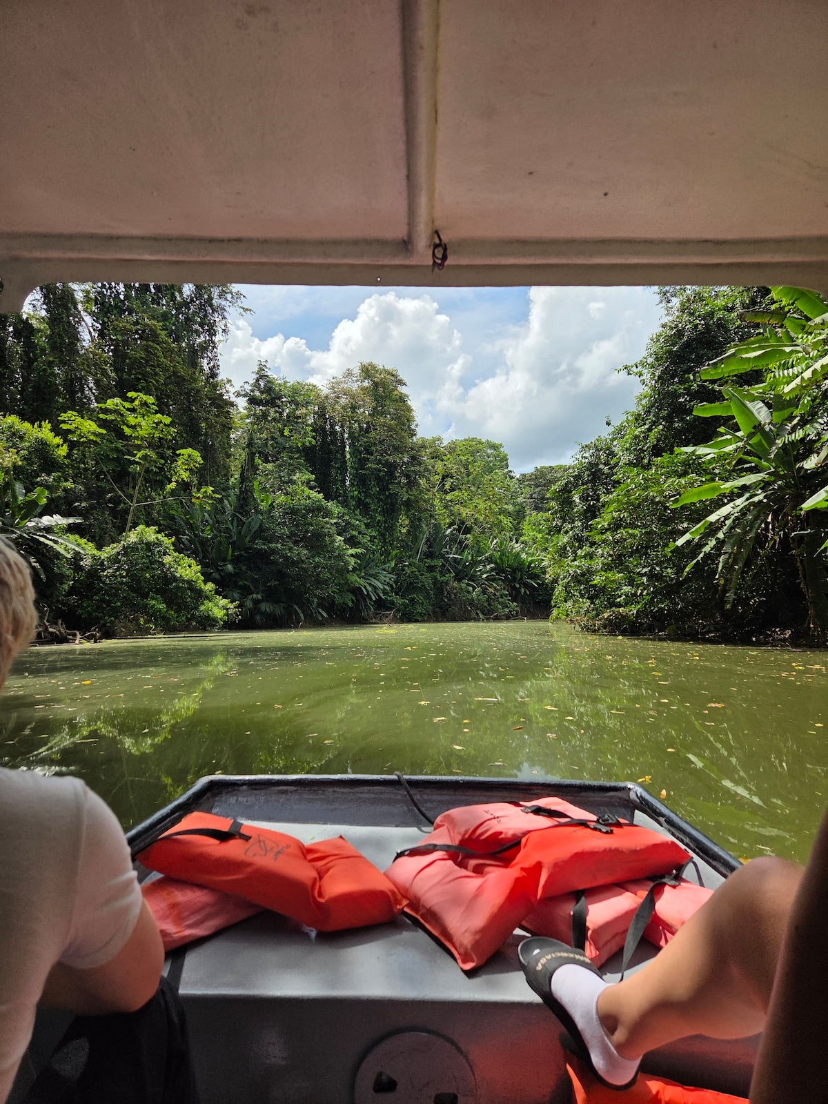 Caribbean Amazon Water Safari - Canals