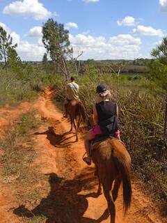 Descubre Viñales a lomos de un caballo