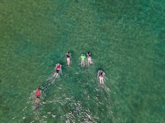威雷亚海滩水下推进器浮潜之旅（含摄影）