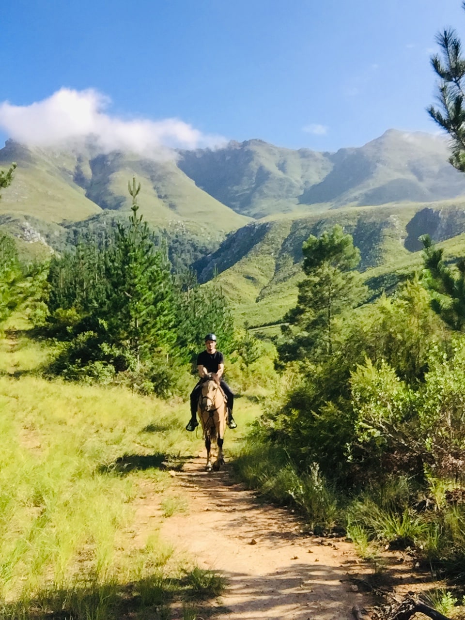 Scenic Horseride with Riverside Picnic
