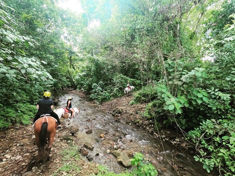 Trot across a private farm in La Fortuna by horse