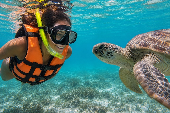Swim with turtles & private jungle cenotes · ☆4.99