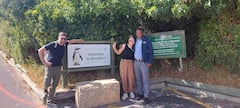 סיור באתרי תיירות, קיבולת טובה ופינגווינים