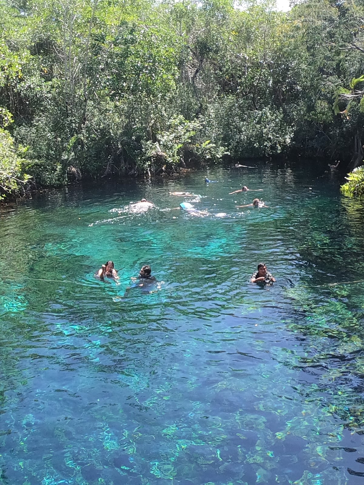 Cenotes By Bike Plus Mayan Style Cooking